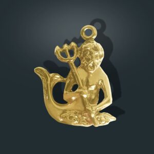 Zodiak Z2 - Wodnik