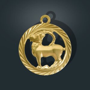 Zodiak Z1 - Koziorożec