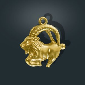 Zodiak Z5 - Koziorożec